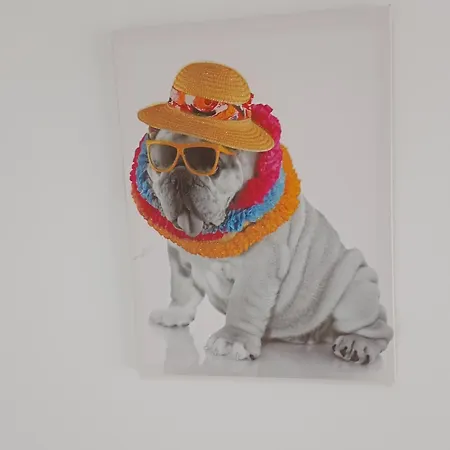 Lägenhet Enfoz Terraza Xxl Pet Friendly *